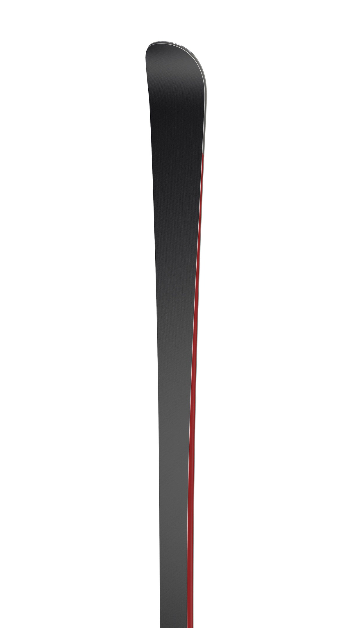 Ramser RED SL Ski Spitze Detailaufnahme der Spitze eines Ramser RED SL Skis, grau mit rotem Rand.